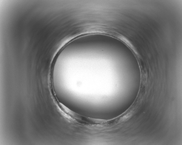 X0000066961101200603271226