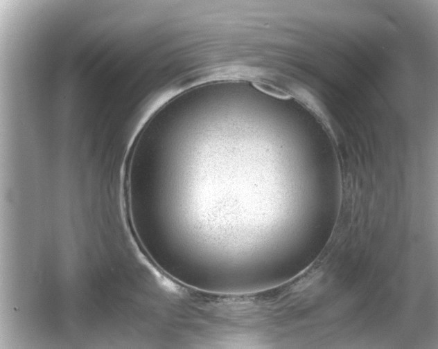 X0000066961103200603271226
