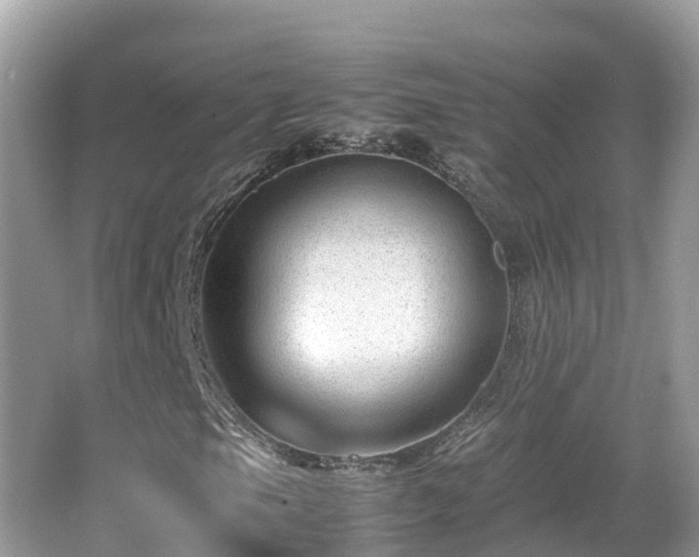 X0000066961105200603271225
