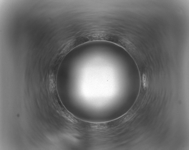 X0000066961107200603271226