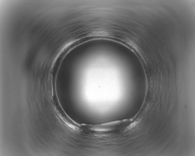 X0000066961123200603271226