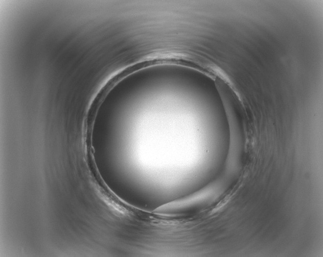 X0000066961124200603271226