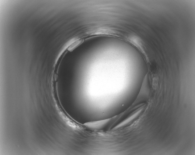 X0000066961138200603271226