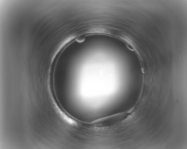 X0000066961139200603271226