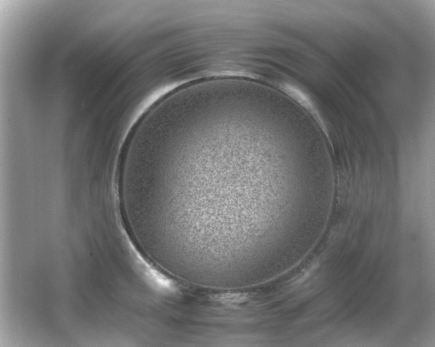 X0000066961141200603271226