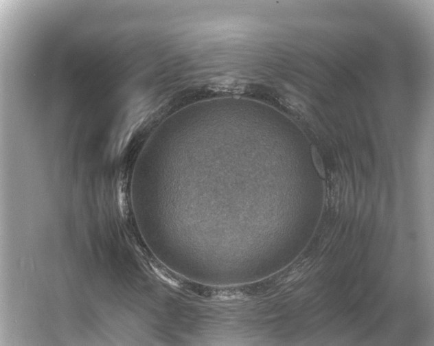 X0000066961154200603271225