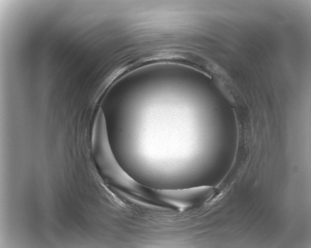 X0000066961177200603271225