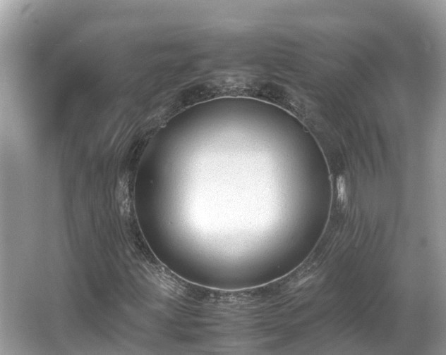 X0000066961203200603271224