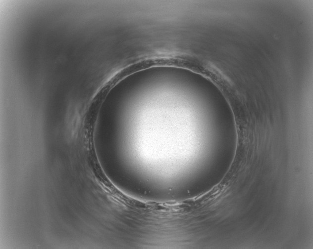 X0000066961208200603271224