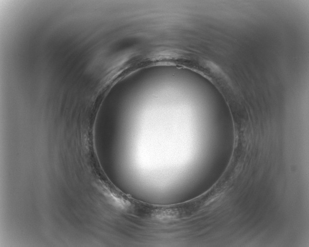 X0000066961217200603271224