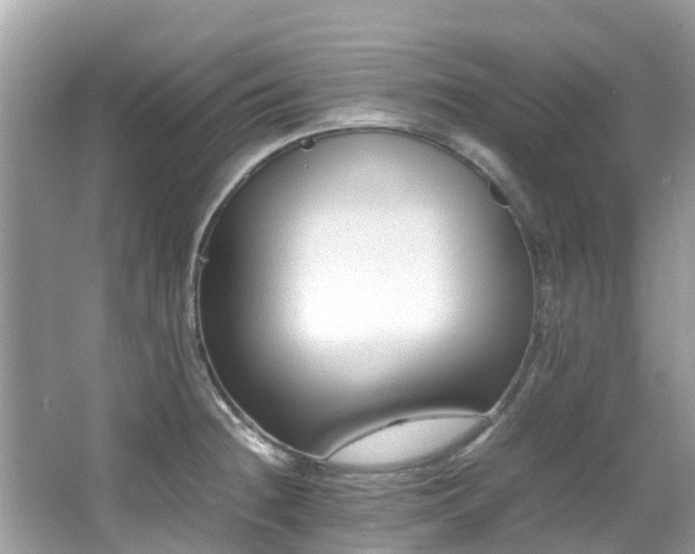 X0000066961236200603271224