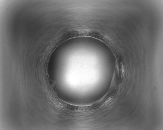 X0000066961249200603271224