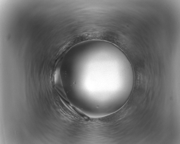 X0000066961250200603271224