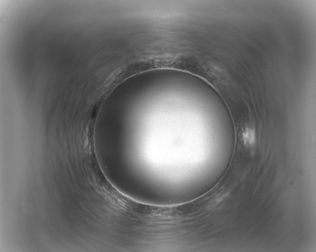 X0000066961252200603271224