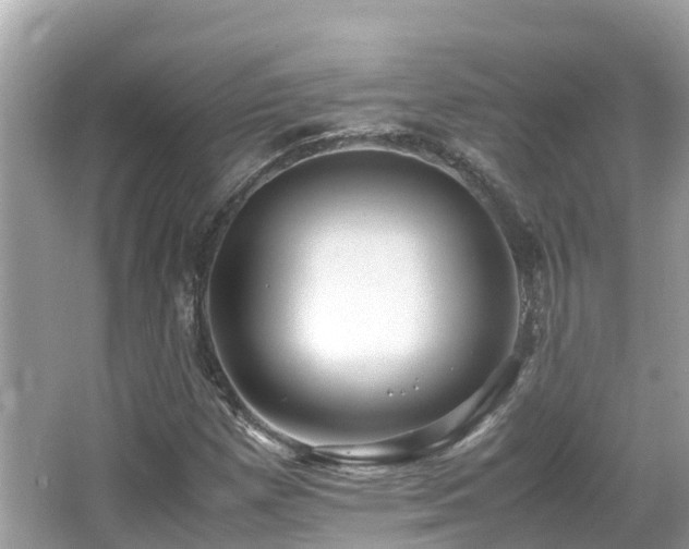 X0000066961257200603271224