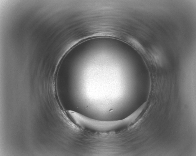 X0000066961284200603271223