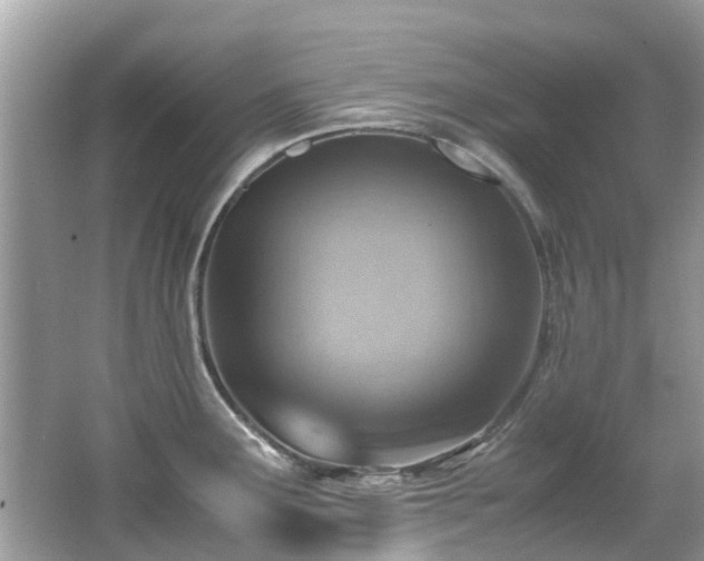 X0000066961291200603271223