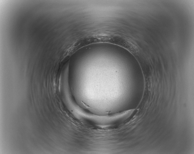 X0000066961298200603271222