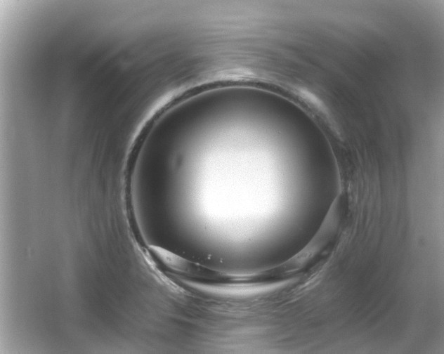 X0000066961326200603271223
