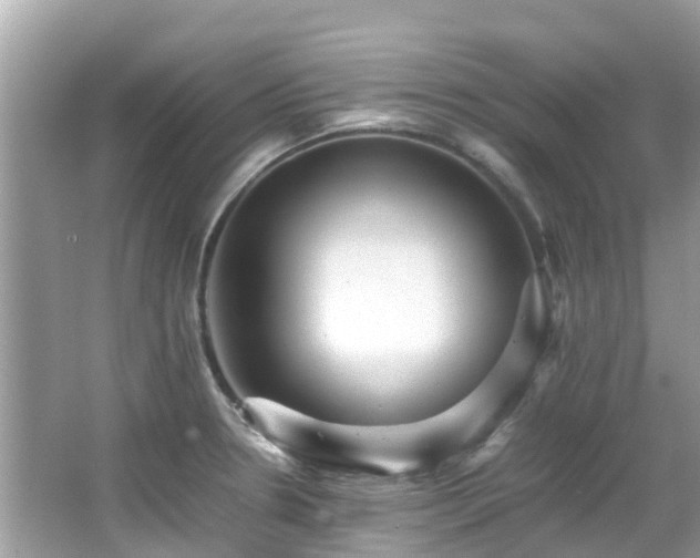 X0000066961330200603271223