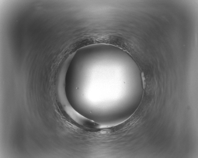 X0000066961345200603271222