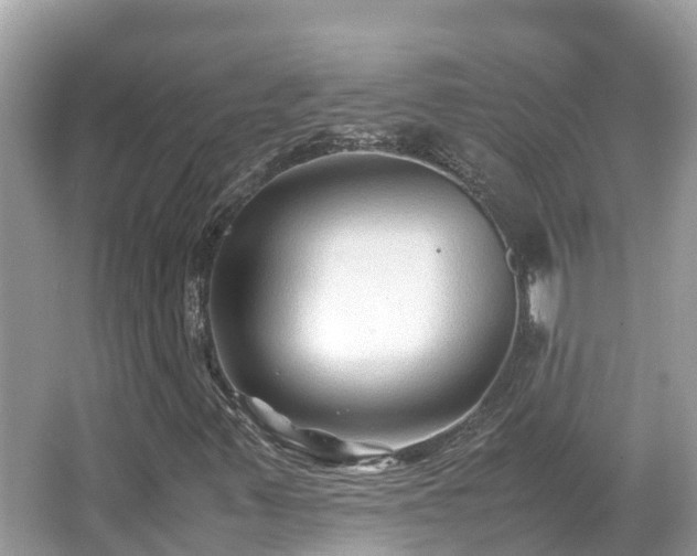 X0000066961347200603271222