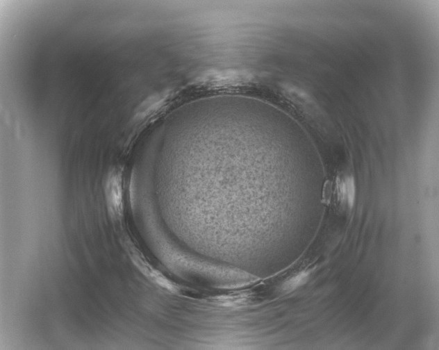 X0000066961348200603271222
