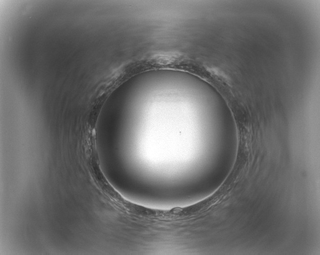 X0000066961349200603271222