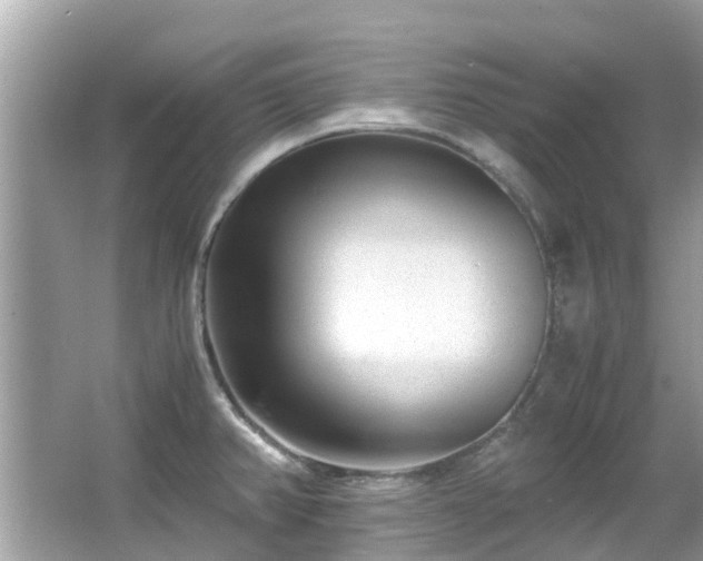 X0000066961382200603271222