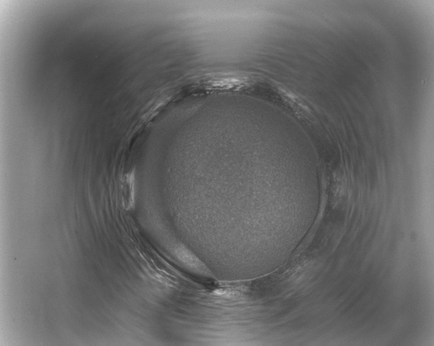 X0000066961394200603271221