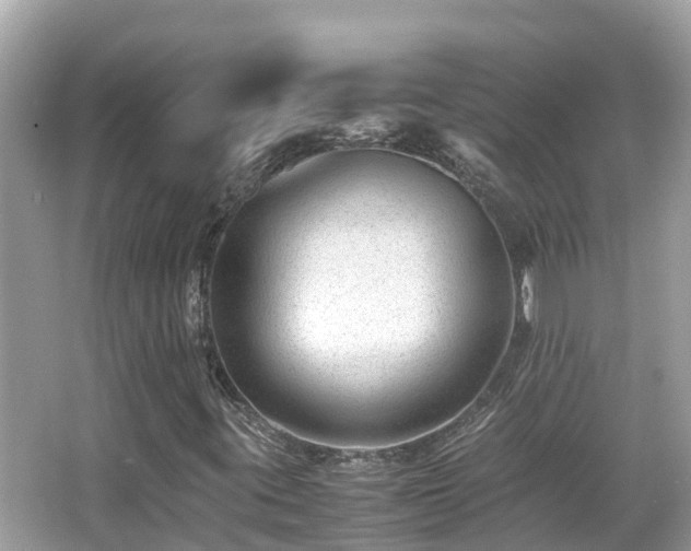 X0000066961395200603271221