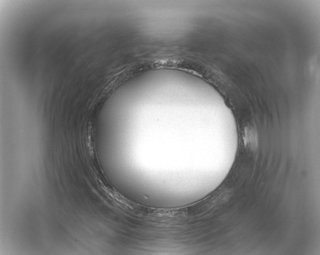 X0000066961396200603271221