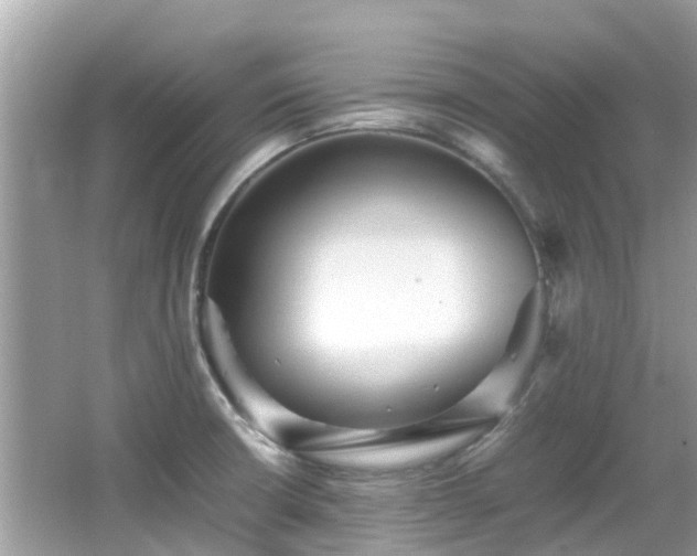 X0000066961426200603271221