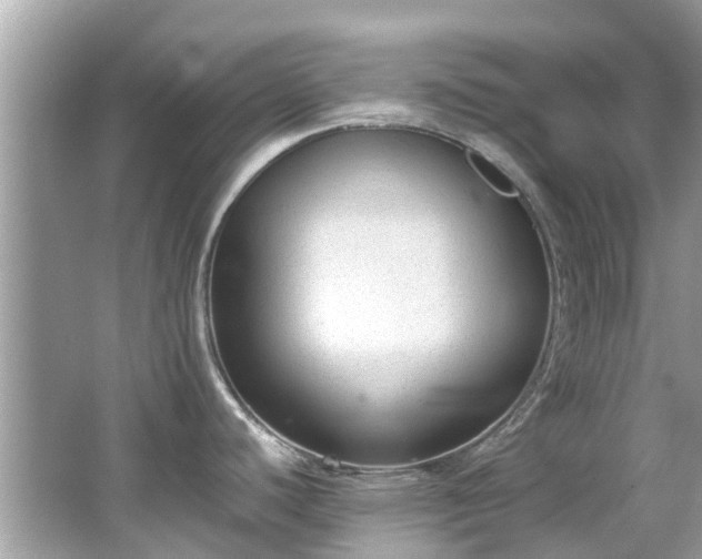 X0000066961440200603271221
