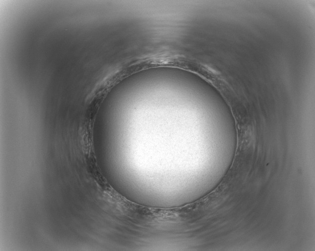 X0000066961446200603271221