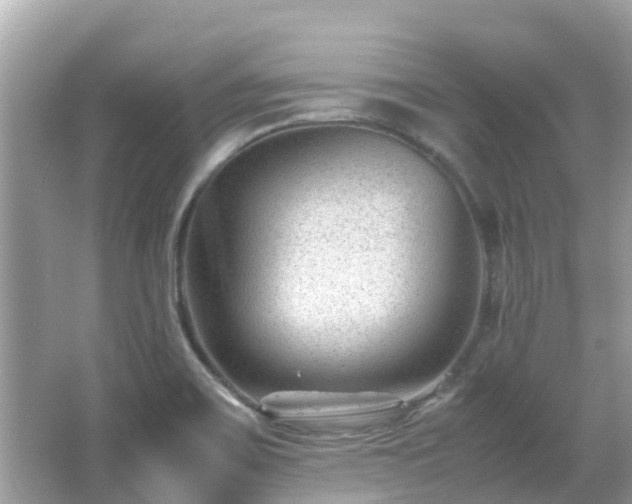 X0000066961467200603271220