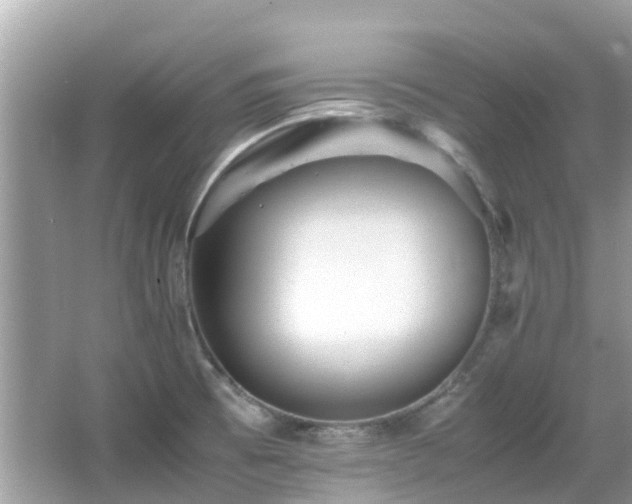 X0000066961473200603271220