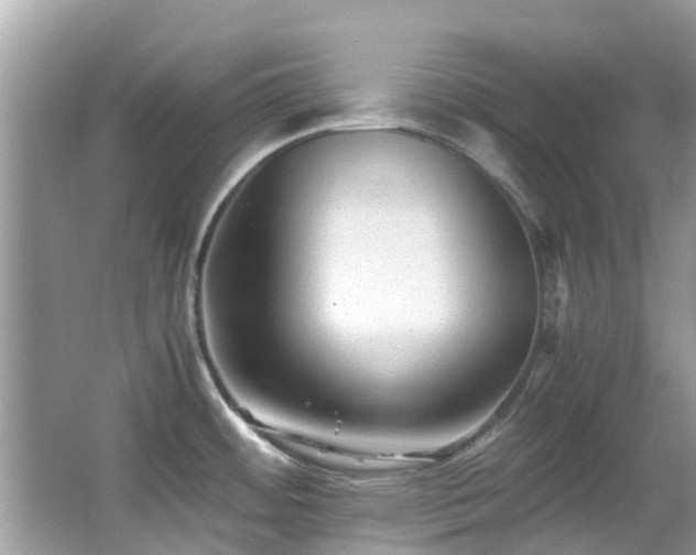 X0000066961484200603271220