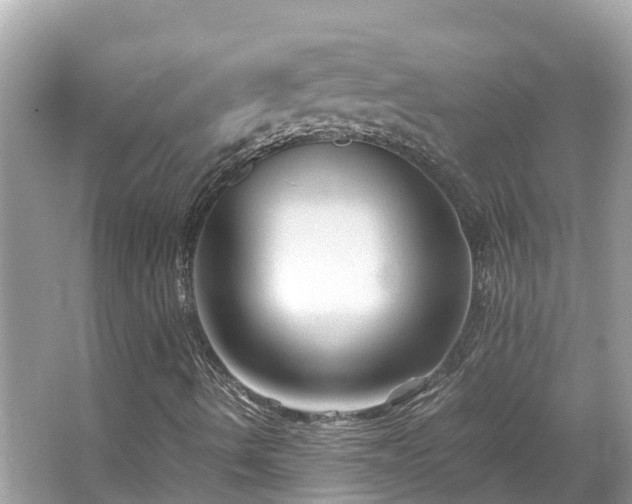 X0000066961490200603271219