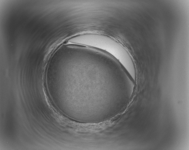 X0000066960001200603311435