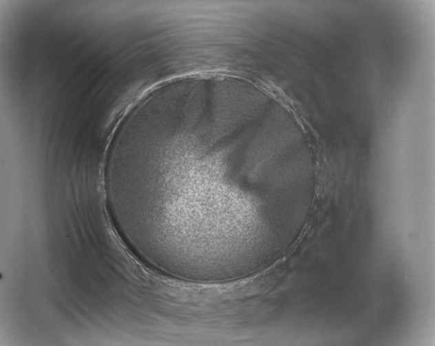 X0000066960002200603311435