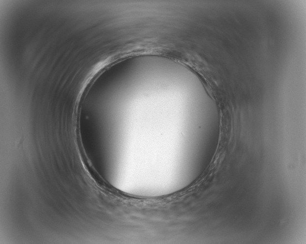 X0000066960003200603311435