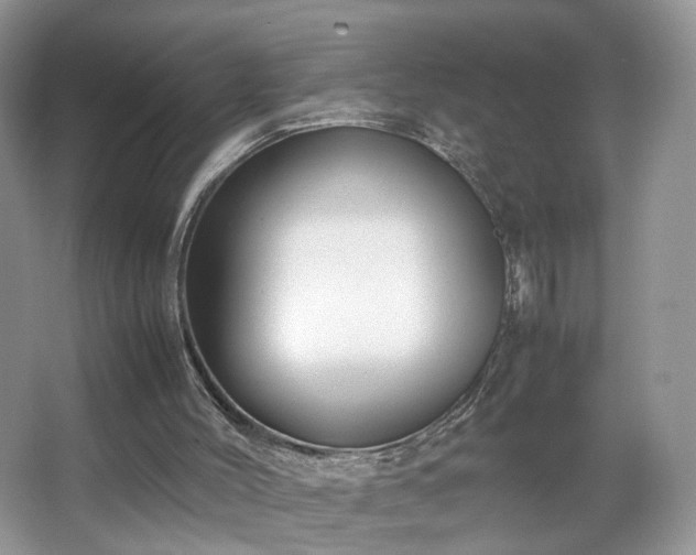 X0000066960004200603311435