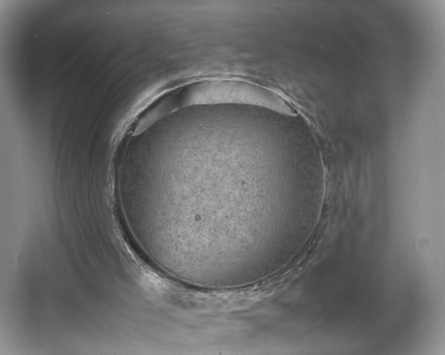 X0000066960005200603311435