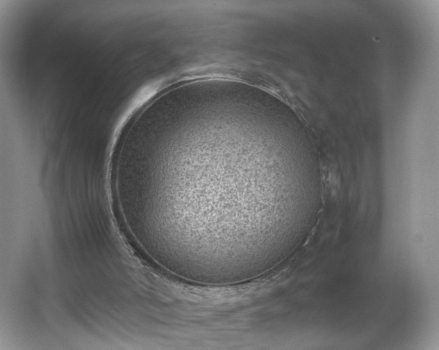 X0000066960006200603311435