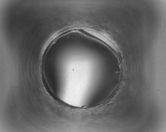 X0000066960007200603311435