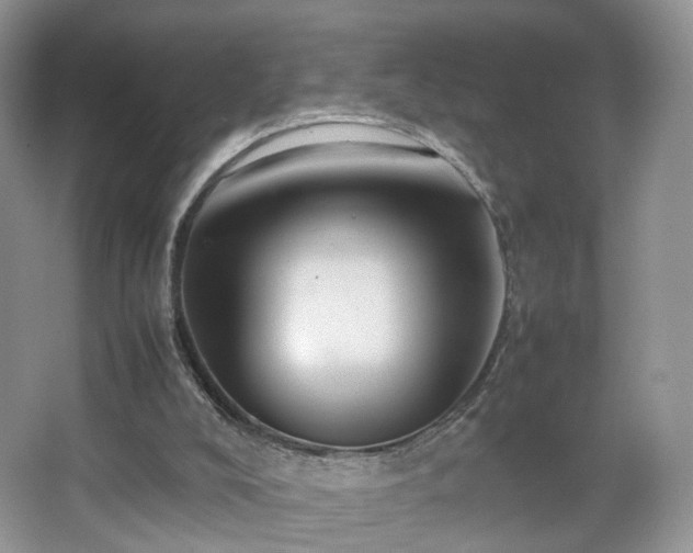 X0000066960008200603311435