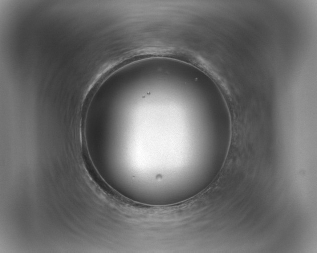 X0000066960011200603311435