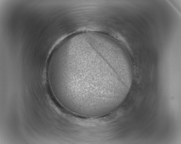 X0000066960012200603311435