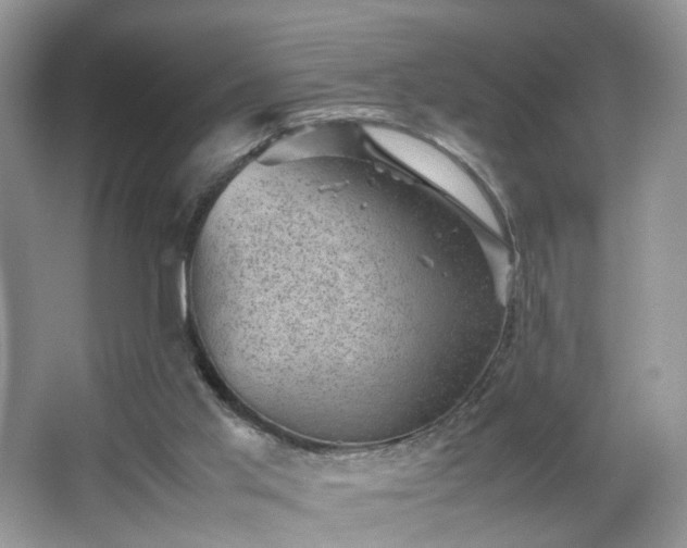 X0000066960013200603311435